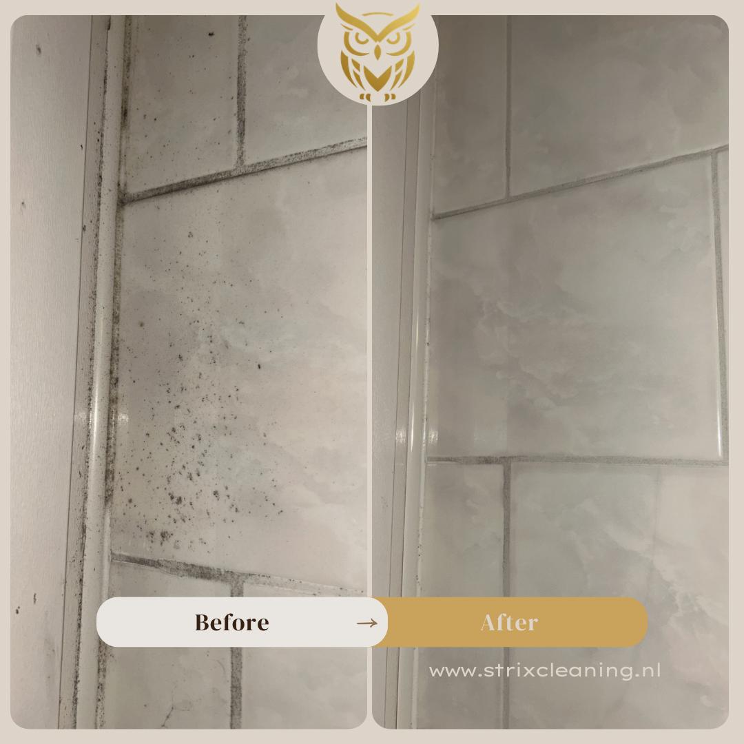 Particuliere en zwakkelijk  schoonmaak badkamer voor en na resultaat. Groningen en Friesland 